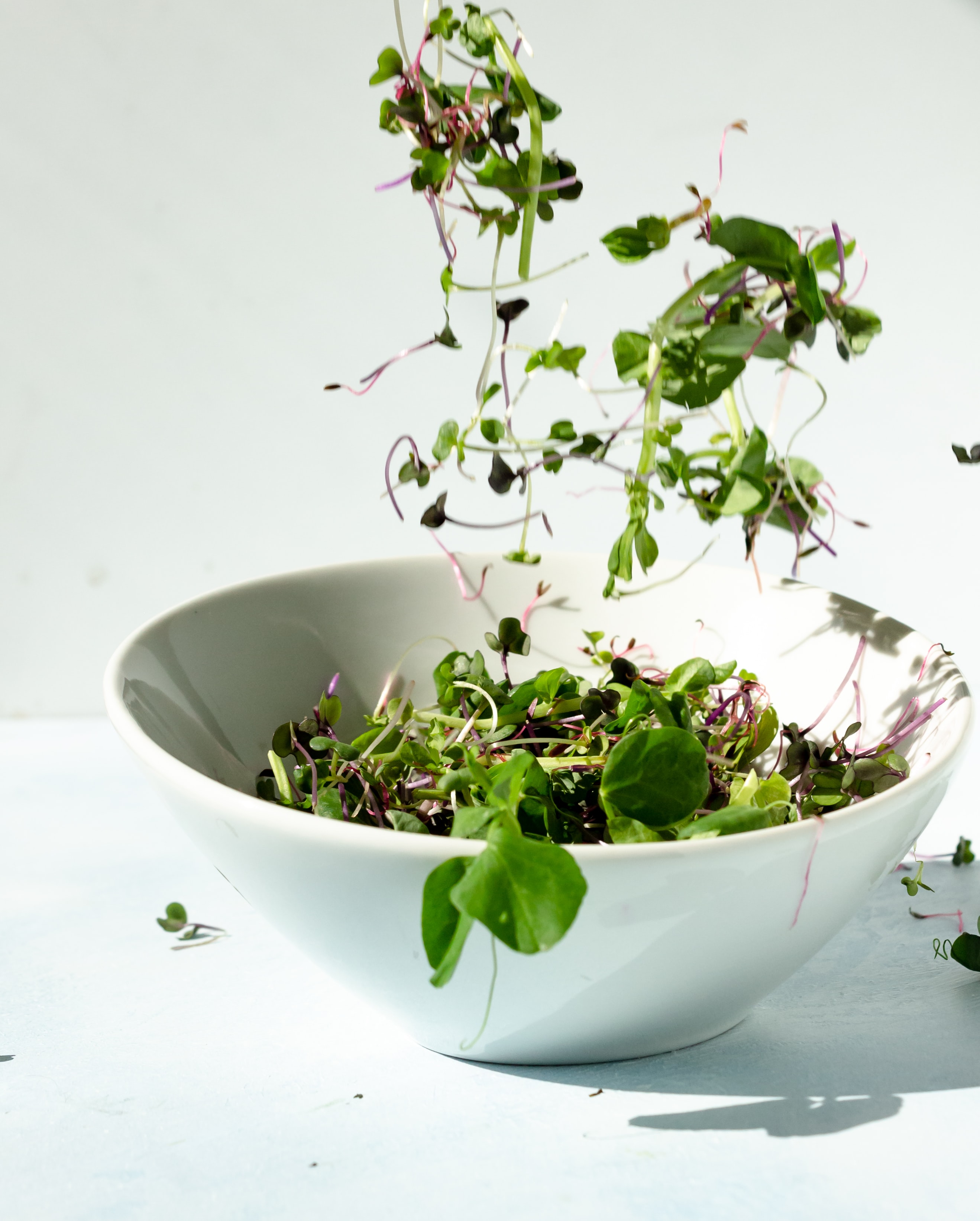 Microgreens Daily Dose of Nutrition to Boost Immunity