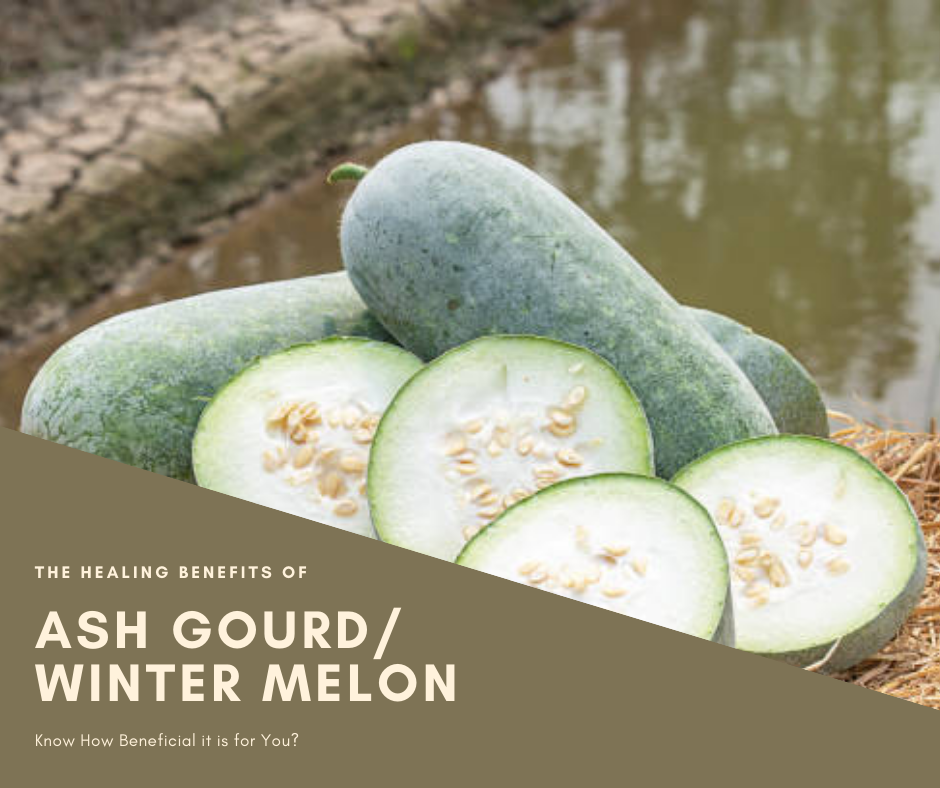 Ash Gourd: The Healing Benefits of Winter Melon