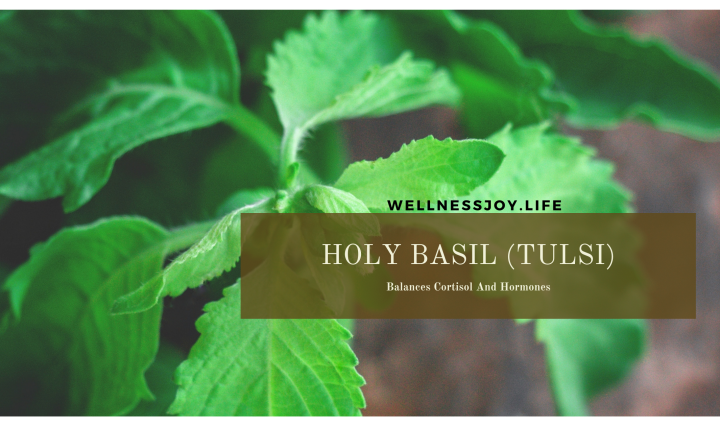 Holy Basil Balances Cortisol And Hormones