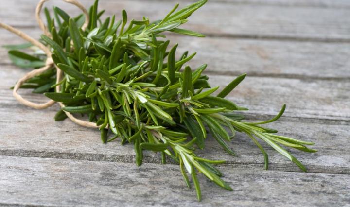 The Herb Rosemary Benefits